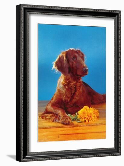 Irish Setter with Flowers-null-Framed Art Print