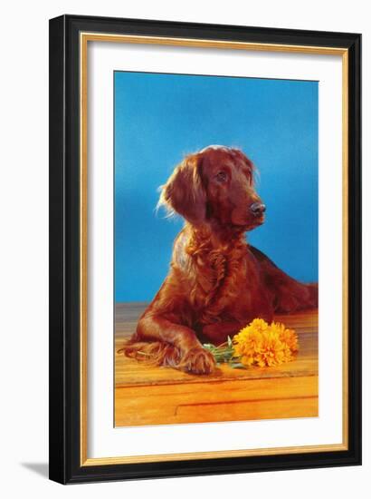 Irish Setter with Flowers-null-Framed Art Print