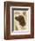 Irish Setter-Libero Patrignani-Framed Art Print