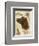 Irish Setter-Libero Patrignani-Framed Art Print