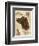 Irish Setter-Libero Patrignani-Framed Art Print