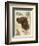 Irish Setter-Libero Patrignani-Framed Art Print