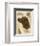 Irish Setter-Libero Patrignani-Framed Art Print