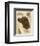 Irish Setter-Libero Patrignani-Framed Art Print