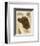 Irish Setter-Libero Patrignani-Framed Art Print