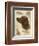 Irish Setter-Libero Patrignani-Framed Art Print