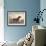 Irish Setter-Reuben Ward Binks-Framed Premium Giclee Print displayed on a wall