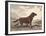 Irish Setter-Reuben Ward Binks-Framed Premium Giclee Print