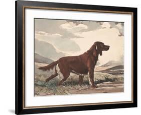 Irish Setter-Reuben Ward Binks-Framed Premium Giclee Print
