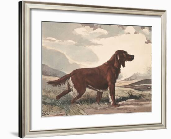 Irish Setter-Reuben Ward Binks-Framed Premium Giclee Print