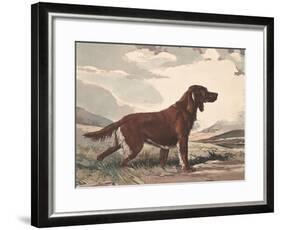 Irish Setter-Reuben Ward Binks-Framed Premium Giclee Print