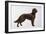 Irish Setters-Harro Maass-Framed Giclee Print