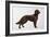 Irish Setters-Harro Maass-Framed Giclee Print