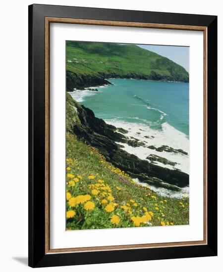 Irish Summer Colours, Dingle Peninsula, County Kerry, Munster, Republic of Ireland (Eire)-D H Webster-Framed Photographic Print