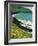 Irish Summer Colours, Dingle Peninsula, County Kerry, Munster, Republic of Ireland (Eire)-D H Webster-Framed Photographic Print