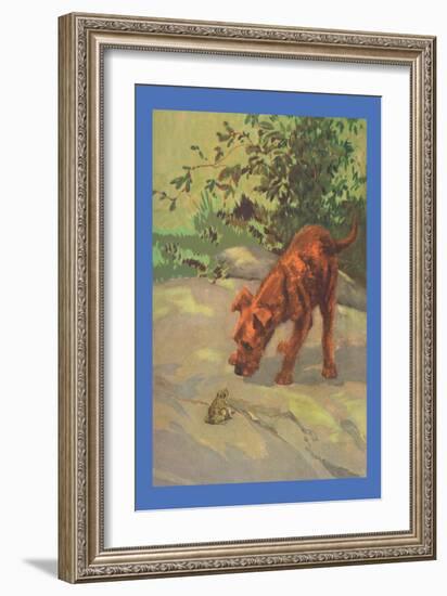 Irish Terrier Puppy-Diana Thorne-Framed Art Print