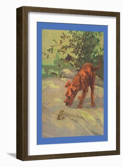 Irish Terrier Puppy-Diana Thorne-Framed Art Print