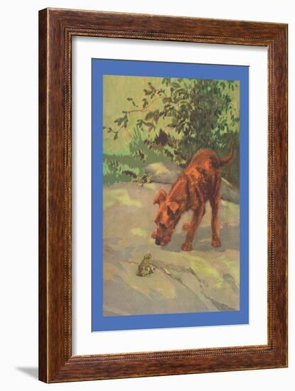 Irish Terrier Puppy-Diana Thorne-Framed Art Print