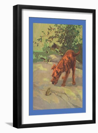 Irish Terrier Puppy-Diana Thorne-Framed Art Print