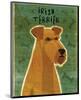 Irish Terrier-John Golden-Mounted Giclee Print
