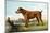 Irish Terrier-Vero Shaw-Mounted Art Print