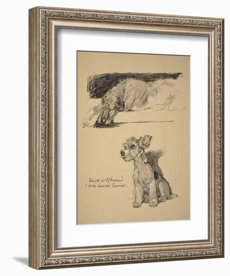 Irish Wolfhound and Wire-Haired Terrier, 1930, Just Among Friends, Aldin, Cecil Charles Windsor-Cecil Aldin-Framed Giclee Print