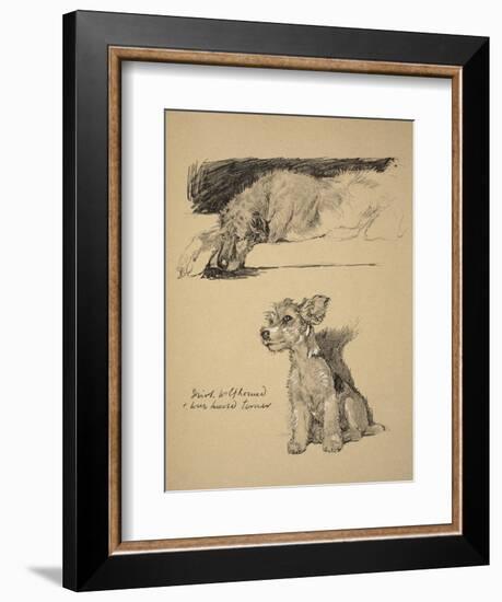 Irish Wolfhound and Wire-Haired Terrier, 1930, Just Among Friends, Aldin, Cecil Charles Windsor-Cecil Aldin-Framed Giclee Print