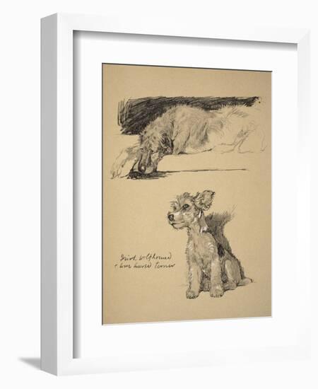 Irish Wolfhound and Wire-Haired Terrier, 1930, Just Among Friends, Aldin, Cecil Charles Windsor-Cecil Aldin-Framed Giclee Print