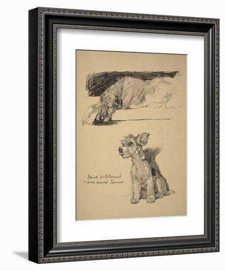 Irish Wolfhound and Wire-Haired Terrier, 1930, Just Among Friends, Aldin, Cecil Charles Windsor-Cecil Aldin-Framed Giclee Print
