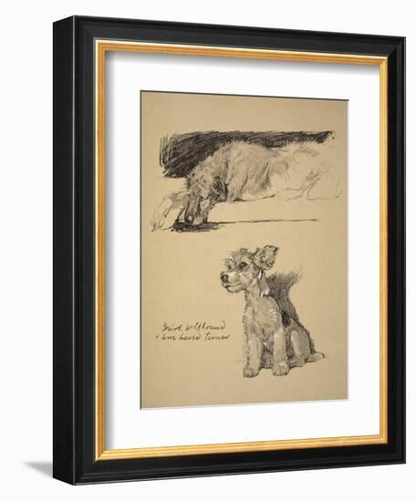 Irish Wolfhound and Wire-Haired Terrier, 1930, Just Among Friends, Aldin, Cecil Charles Windsor-Cecil Aldin-Framed Giclee Print