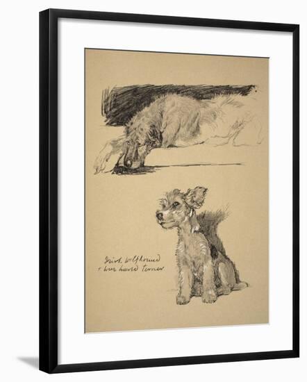 Irish Wolfhound and Wire-Haired Terrier, 1930, Just Among Friends, Aldin, Cecil Charles Windsor-Cecil Aldin-Framed Giclee Print