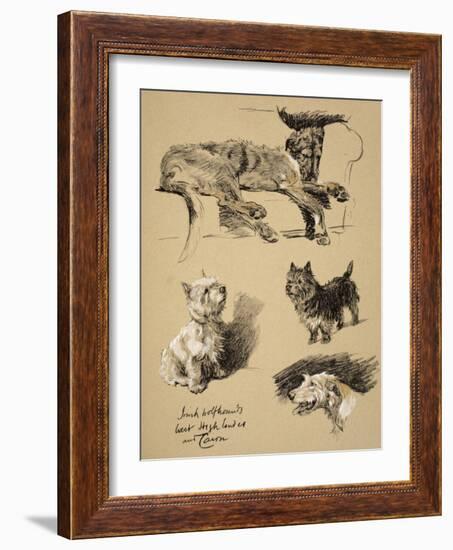 Irish Wolfhound, West Highlander and Cairn, 1930, Just Among Friends, Aldin-Cecil Aldin-Framed Giclee Print