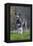 Irish Wolfhound with Maltese Dog-null-Framed Premier Image Canvas