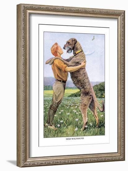 Irish Wolfhound-Louis Agassiz Fuertes-Framed Art Print