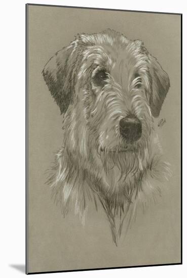 Irish Wolfhound-Barbara Keith-Mounted Giclee Print