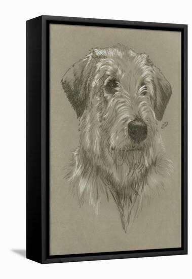 Irish Wolfhound-Barbara Keith-Framed Premier Image Canvas