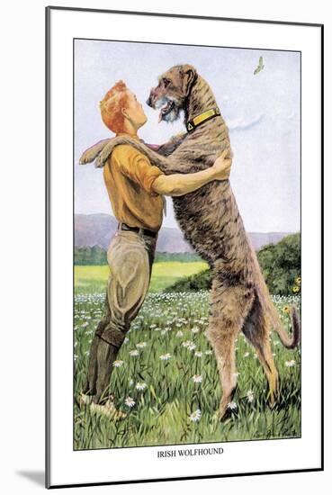 Irish Wolfhound-Louis Agassiz Fuertes-Mounted Art Print