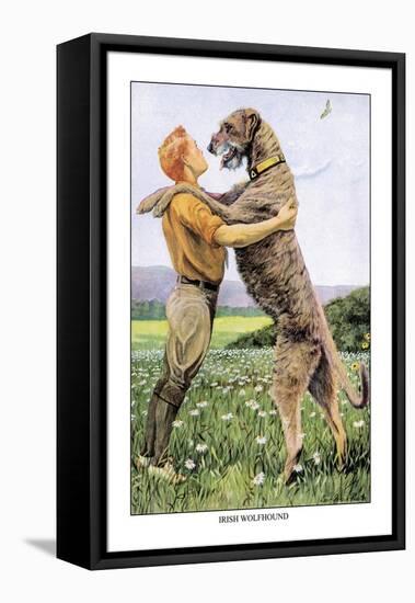 Irish Wolfhound-Louis Agassiz Fuertes-Framed Stretched Canvas