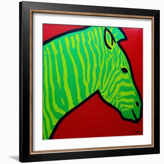 Irish Zebra-John Nolan-Framed Giclee Print