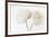 Irisia Duet-Irene Suchocki-Framed Giclee Print