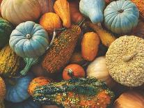 Stack of Multicolored Fall Pumpkins, Squash and Gourds Vegetables Shot from Directly above for Than-IrisImages-Photographic Print