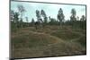 Iron Age burial mounds in Sweden. Artist: Unknown-Unknown-Mounted Photographic Print