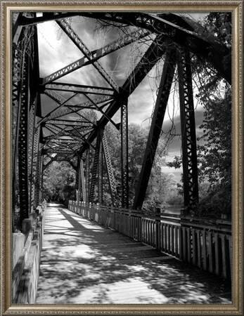Iron And Vine Stretched Canvas Print Mark Polege Art Com