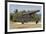 Iron cannon sitting on the outskirts of Castillo de la Real Fuerza on the western edge of Havana-Mallorie Ostrowitz-Framed Photographic Print