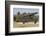 Iron cannon sitting on the outskirts of Castillo de la Real Fuerza on the western edge of Havana-Mallorie Ostrowitz-Framed Photographic Print