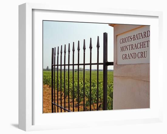 Iron Gate and Post to the Grand Cru Vineyard, Santenay, Bourgone, France-Per Karlsson-Framed Photographic Print