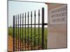 Iron Gate and Post to the Grand Cru Vineyard, Santenay, Bourgone, France-Per Karlsson-Mounted Photographic Print
