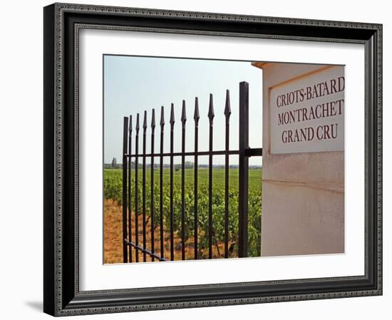 Iron Gate and Post to the Grand Cru Vineyard, Santenay, Bourgone, France-Per Karlsson-Framed Photographic Print