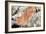 Iron Oxide Deposit-Victor De Schwanberg-Framed Photographic Print