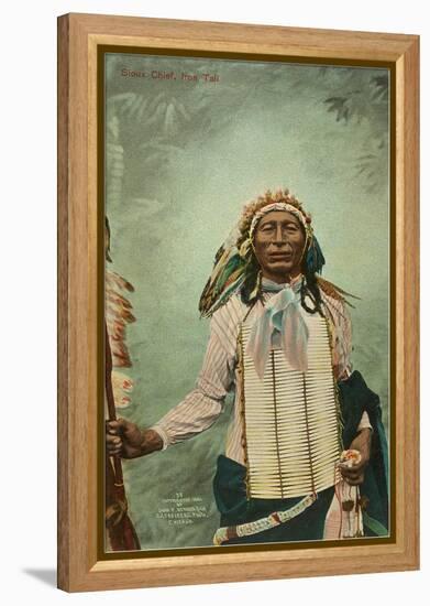 Iron Tail, Sioux Chief-null-Framed Stretched Canvas